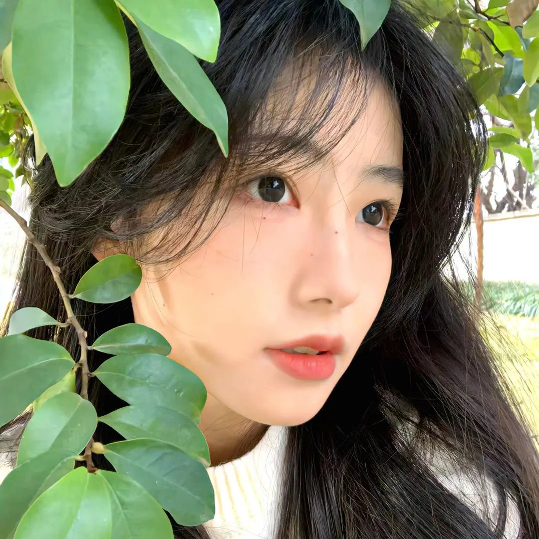 侠岚第六季